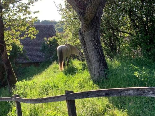 Feked Farmstay