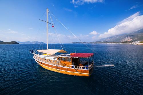 Four-Cabin Boat image 10