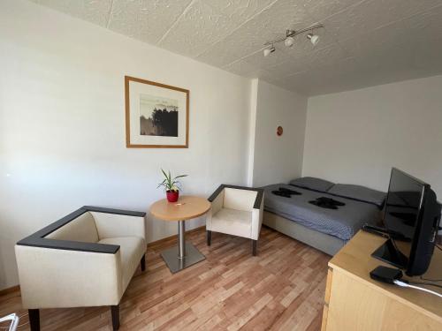 Malý apartmán na Šumavě - Apartment - Horní Vltavice