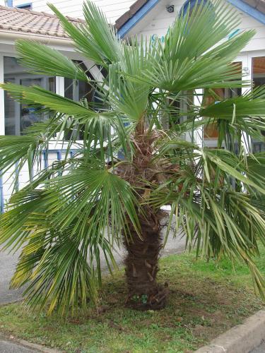 Budget Hotel - Melun Sud Dammarie Les Lys - image 8