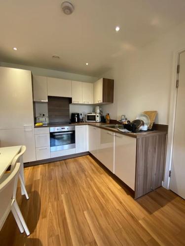 Stunning luxury spacious apartment with balcony in London.