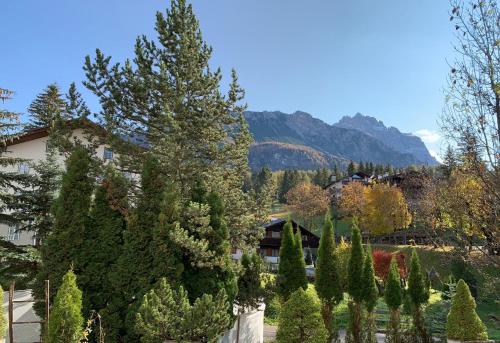 전망, Hotel Serena Cortina in 코르티나담페초 시티 센터