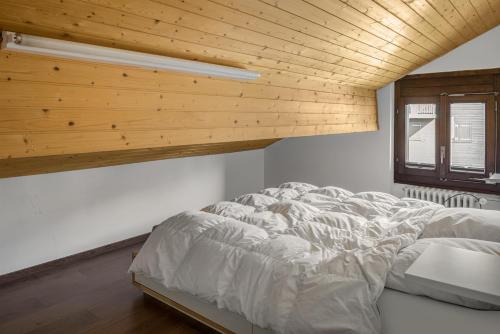 Alpenglück 51, Bettmeralp (foto 2)