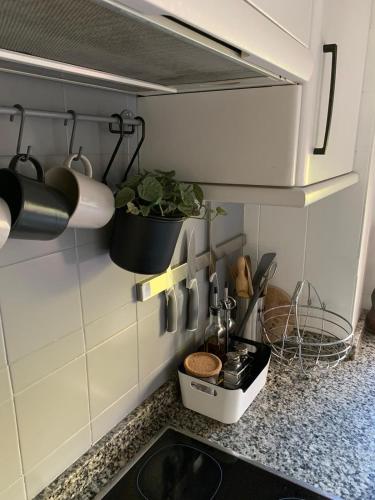Acogedor apartamento en pleno corazón de Triana - image 4