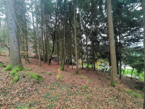 Ferienwohnungen "Haus Daxberg" Idyllisch gelegen im Bayerischen Wald