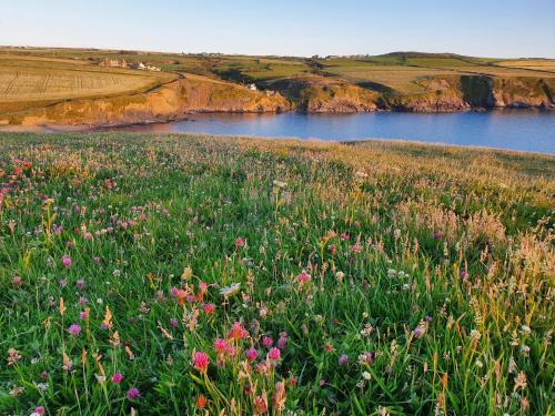 Villa Muneera - rural retreat in the heart of Pembrokeshire