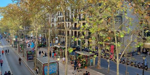 Hostal Parisien-NEW Barcelona