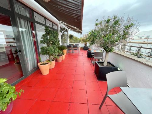 Ritual Alameda Sevilla - image 13