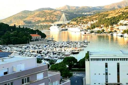 Gorgeous Dubrovnik sea view apartment with free parking 5