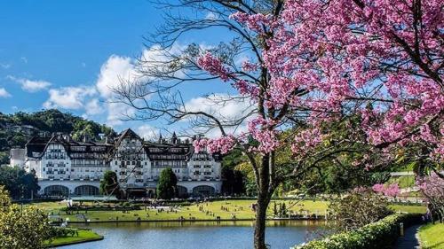 Palacio Quitandinha Linda Vista Para o Lago