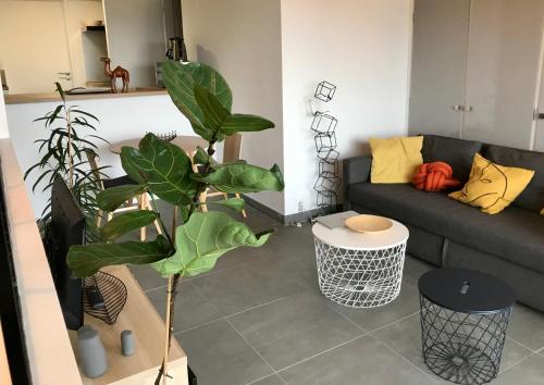 Chez Isa, loft 55m2, jardin, vue, parking, entrée autonome (Chez Isa, loft 55m2, jardin, vue, parking, entree autonome) in Ceyrat (Auvergne)