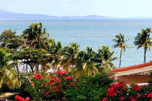 Portobello Palmanova, Palmas del Mar, Humacao, PR in Хумакао