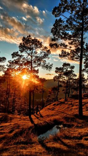 The Chakras Valley Homestay