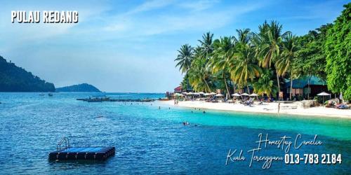 Homestay Camelia Kuala Terengganu Houses 3 Room 2 Bathroom - Near Batu Buruk Beach , Drawbridge, Pas in Kuala Terengganu