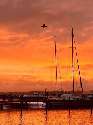 Ostsee Hausboot Schleswig Ostseeblick 1