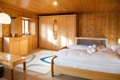 Large alpine house for 10 with panoramic view in Albula