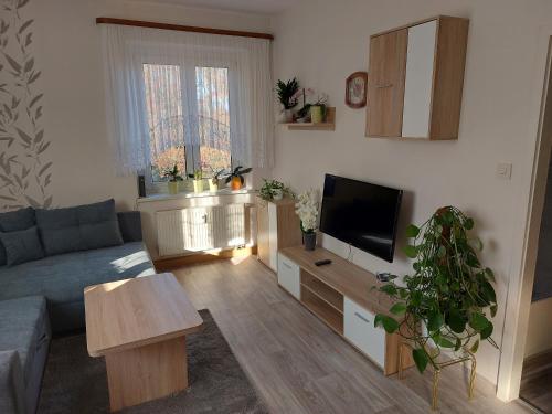 Ferienwohnung Lehmann in Pirna, Deutschland