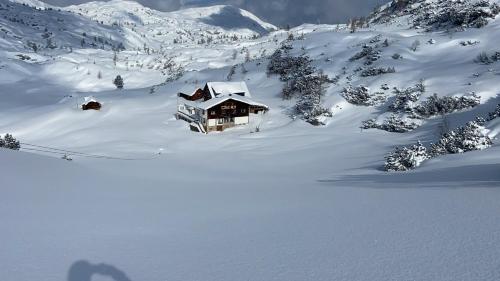 Gjaid-Alm 1739m am Dachstein-Only Accessible by Cable Car 2