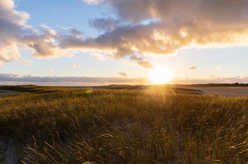 Himmelreich Amrum