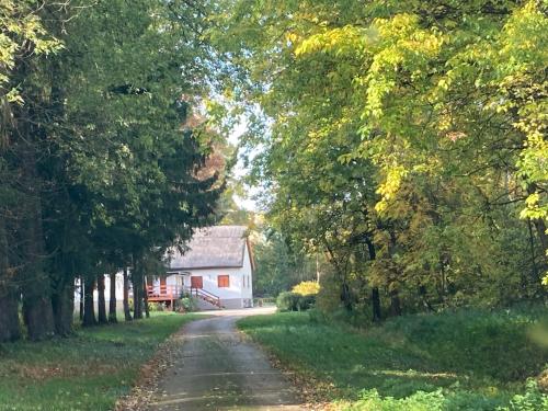 Wildente Vadaszhaz in Tamási
