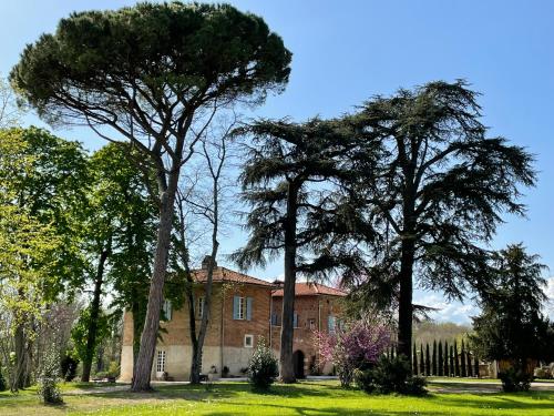 Chateau du Go - Chambre d'hôtes - Albi