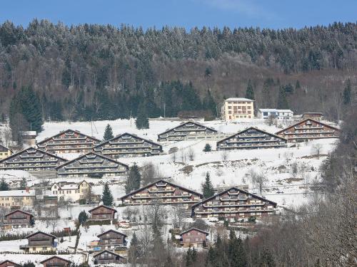  Apartment Cassiopée 26 by Interhome, Pension in Les Rasses bei La Côte-aux-Fées