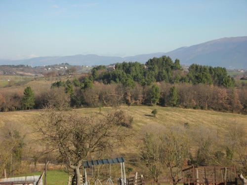 Agriturismo San Vito