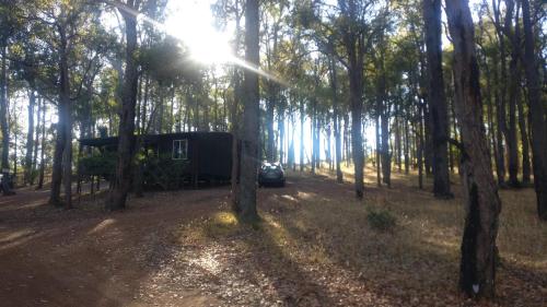 Balingup TimberTop Cottages