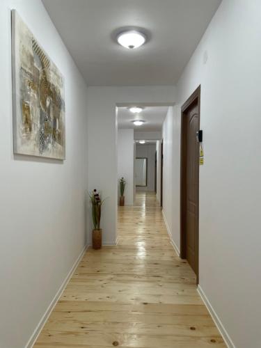 Schei Central Studio Rooms in the heart of Brasov 5