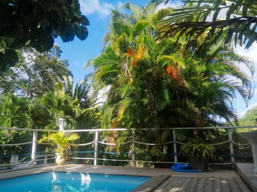 Appartement de 2 chambres avec piscine partagee jardin amenage et wifi a Riviere Pilote a 4 km de la plageB - Location saisonnière - Rivière-Pilote
