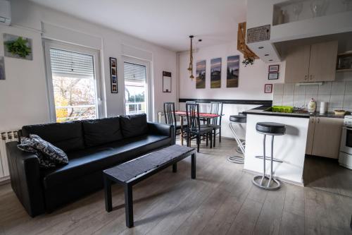  Apartment Biscan in Sveta Nedelja