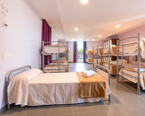 Bunk Bed in Mixed Dormitory Room