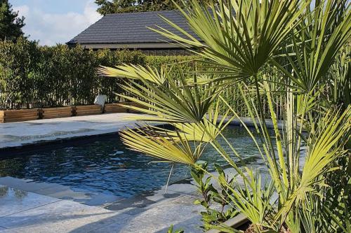 Maison typique privée - Sart Lez Spa - PINE COTTAGE- charme piscine