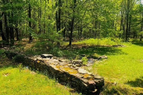 Catskills Enchanted Forest