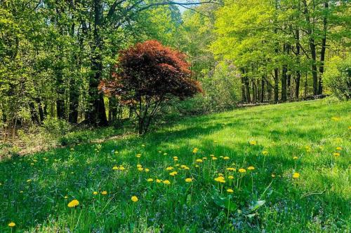 Catskills Enchanted Forest