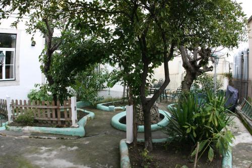 Mana Guest House - image 11