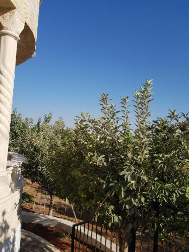 Ibbin hospitality house in Ajloun