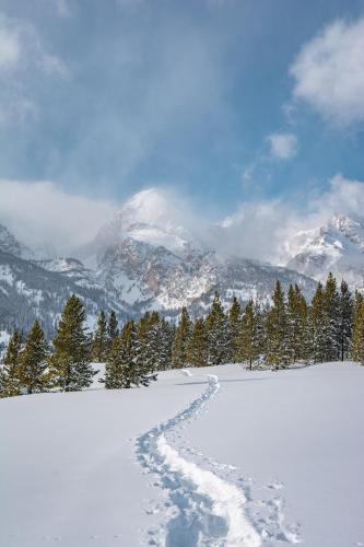Teton Cabins in Moran, USA