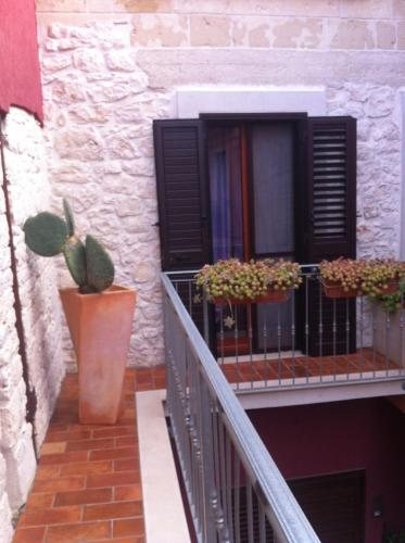 La Rosa Blu 2 - image 11