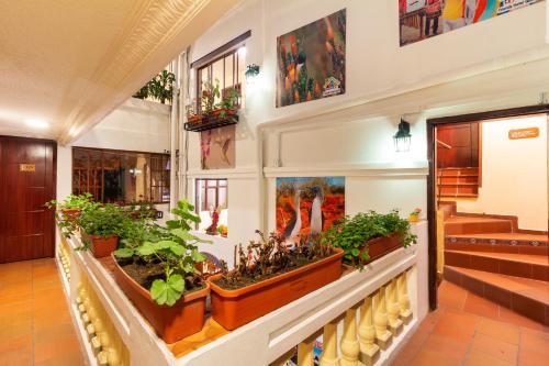 บริการและสิ่งอำนวยความสะดวก, Friends Hotel & Rooftop - Historic Center & Museums in ซานมาร์กอส