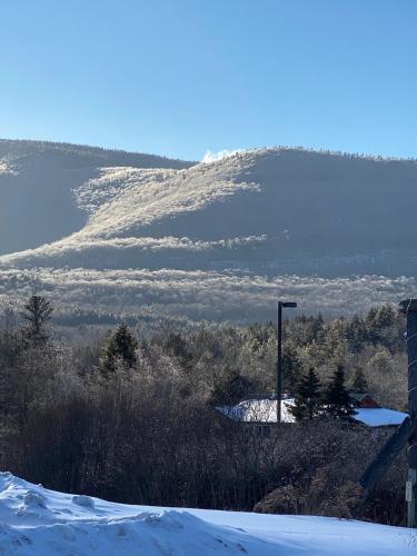 Hunter Mountain Sanctuary