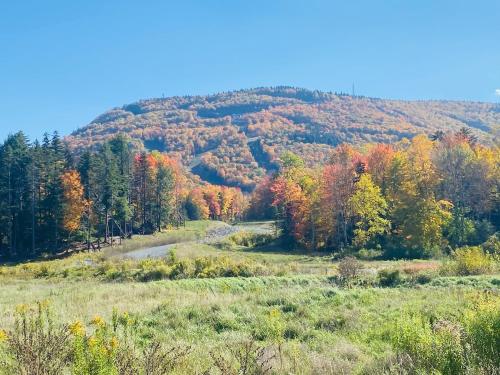 Hunter Mountain Sanctuary