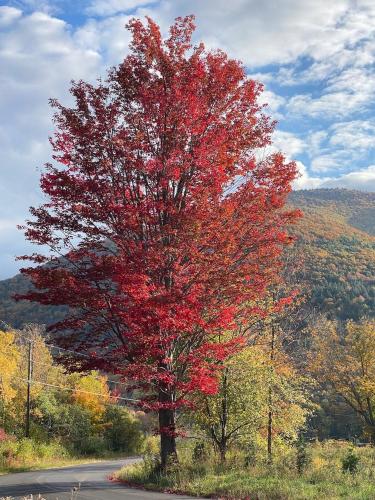 Hunter Mountain Sanctuary