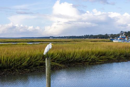 Sea Mystique Murrells Inlet a Ramada by Wyndham - image 14