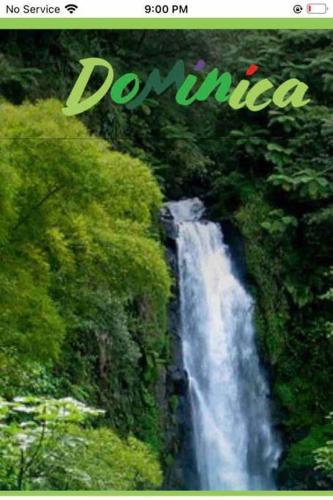 Surrounding environment, Palmvillo in Anse De Mai