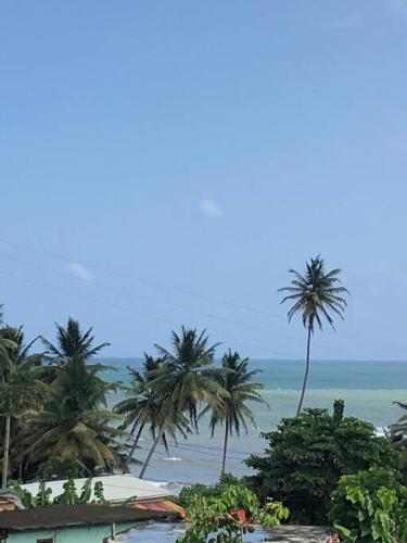 Surrounding environment, Palmvillo in Anse De Mai