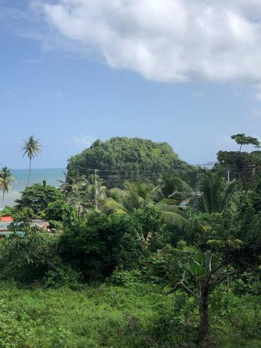 Nearby attraction, Palmvillo in Anse De Mai
