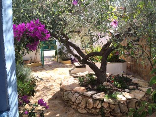 Casa Rural Delta Del Ebro Ecoturismo In Spain