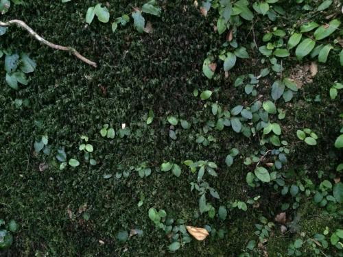 Ecoreserva Quelhue Lodge y Cabañas