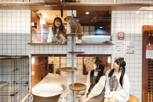 Cat Spa & Cat Ryokan by Neco Republic Osaka